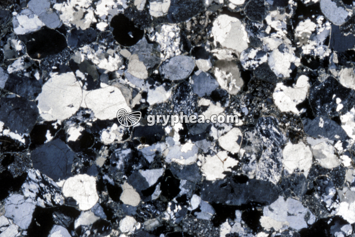 Grès à grains ronds LPA x4 - gryphea.com